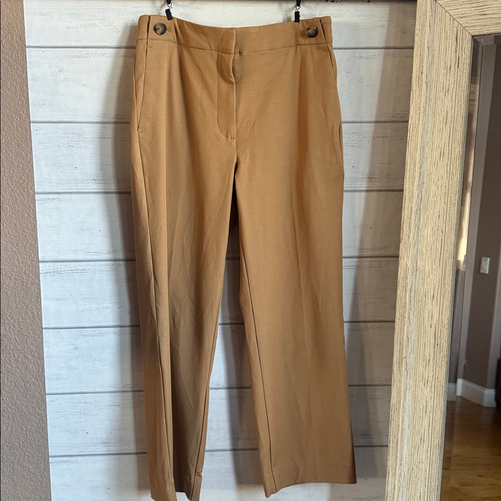 NWT Ann Taylor Brown Pants